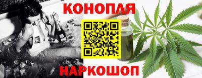 spice Гагарин